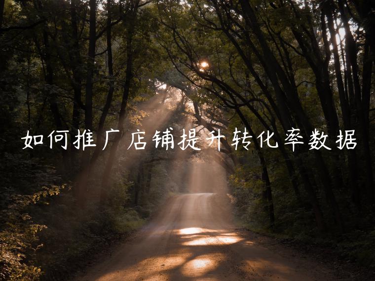 如何推廣店鋪提升轉(zhuǎn)化率數(shù)據(jù)